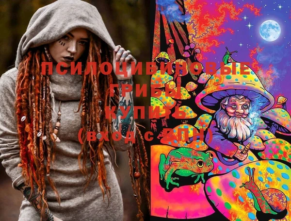 Альфа ПВП Магас