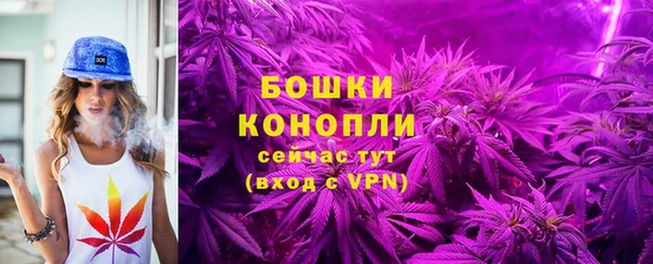 Альфа ПВП Магас