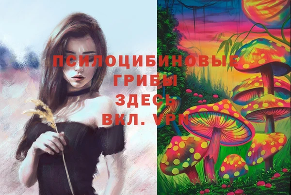 Альфа ПВП Магас