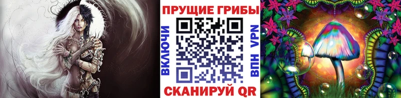 hydra ONION Махачкала Галлюциногенные грибы MAGIC MUSHROOMS