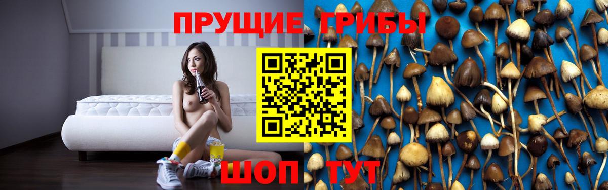 Псилоцибиновые грибы Magic Shrooms Махачкала